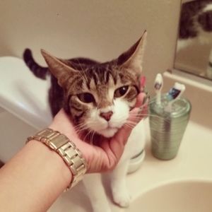 Meet your Posher, Alondra